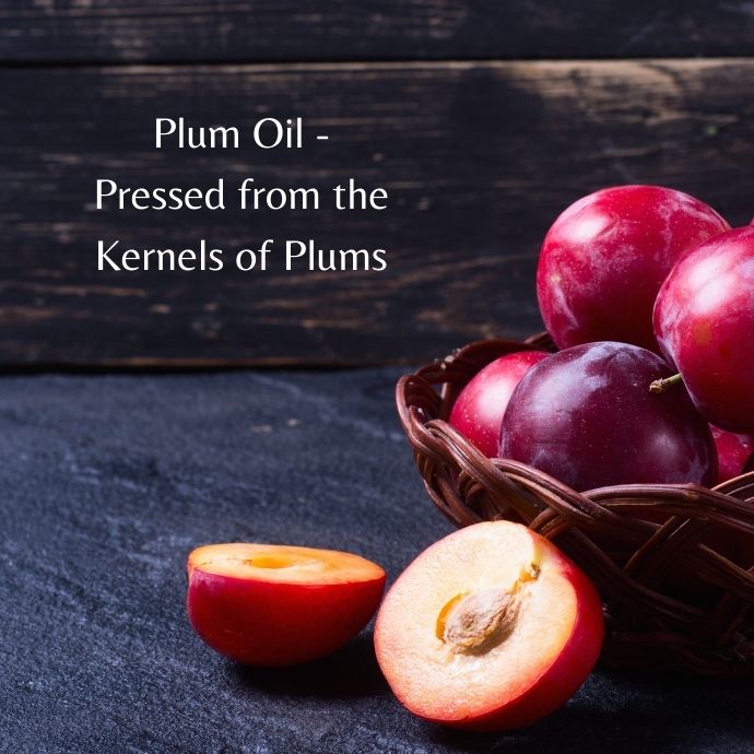 Plum Kernel Plum Seed Oil - Vine and Lee
